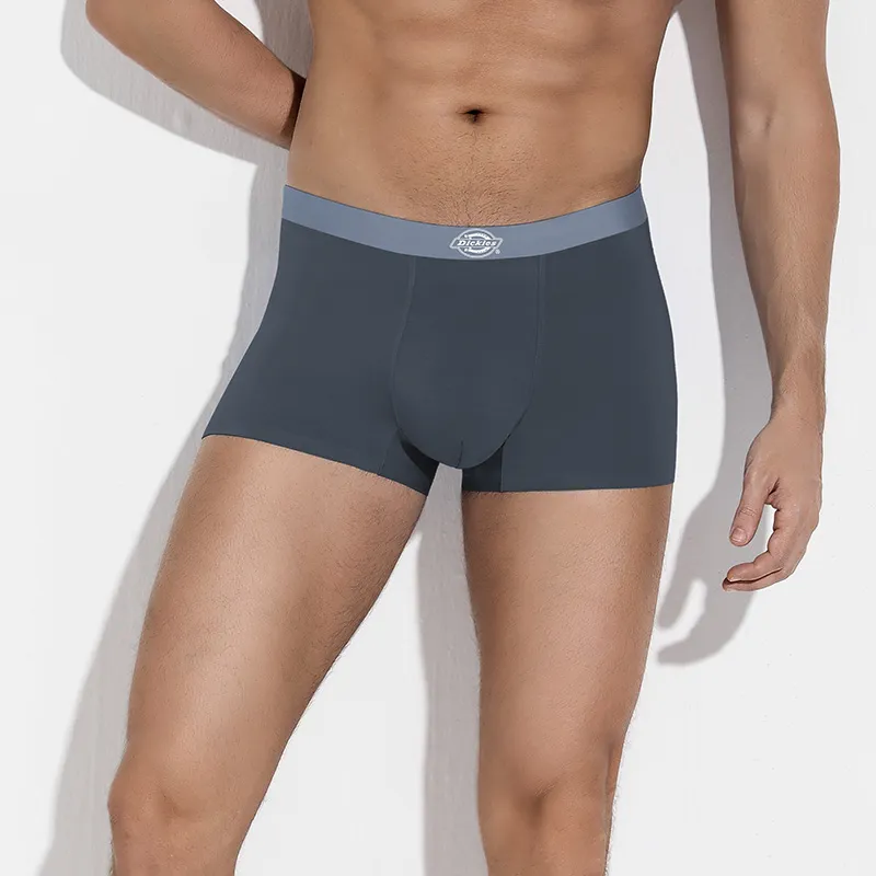 Dickies Underpants Men's Box 3 Pack-24