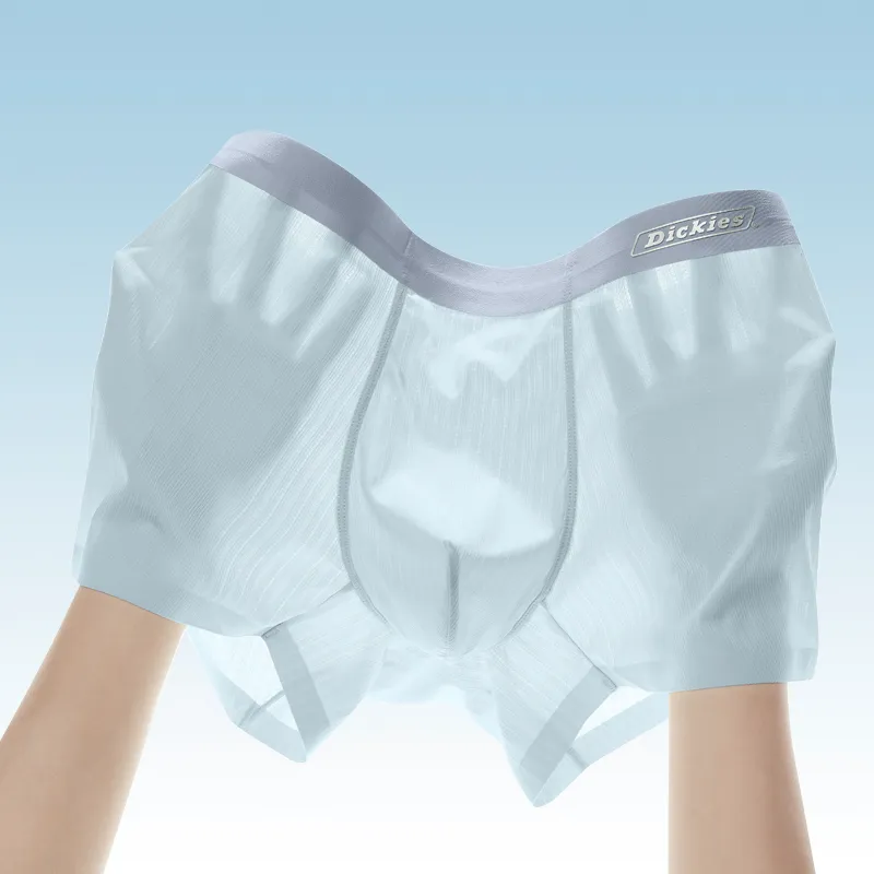 Dickies Underpants Men's Seamless Skin Friendly High Rebound Breathable Four Corner Pants, Box Combo Set-6