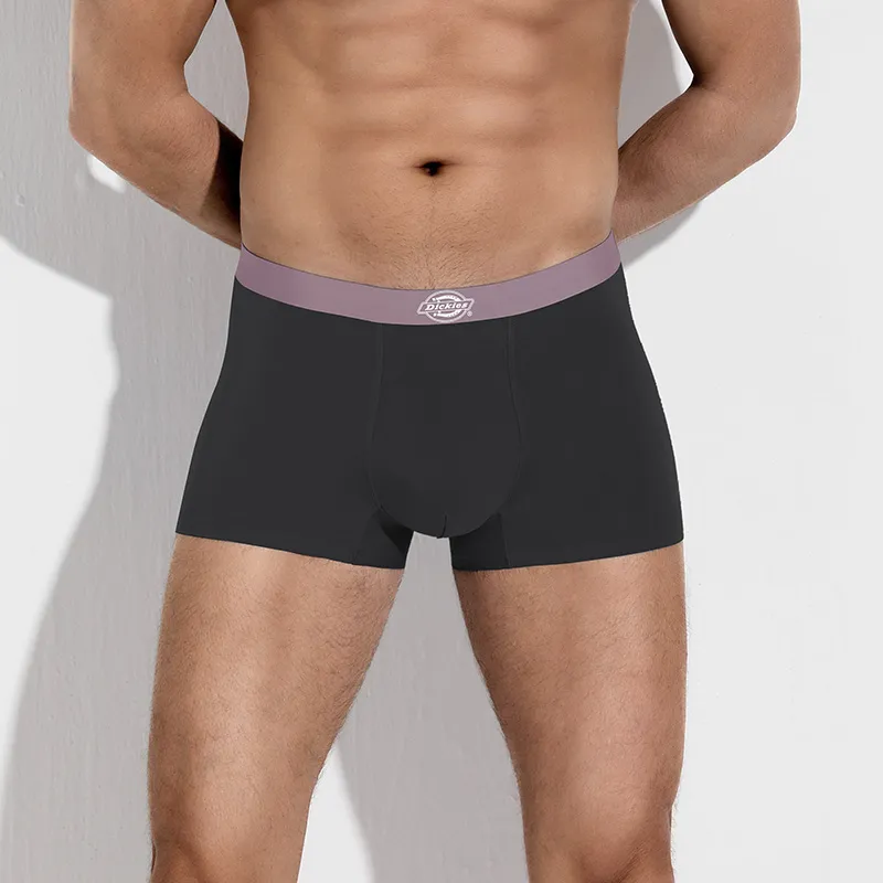 Dickies Underpants Men's Box 3 Pack-1