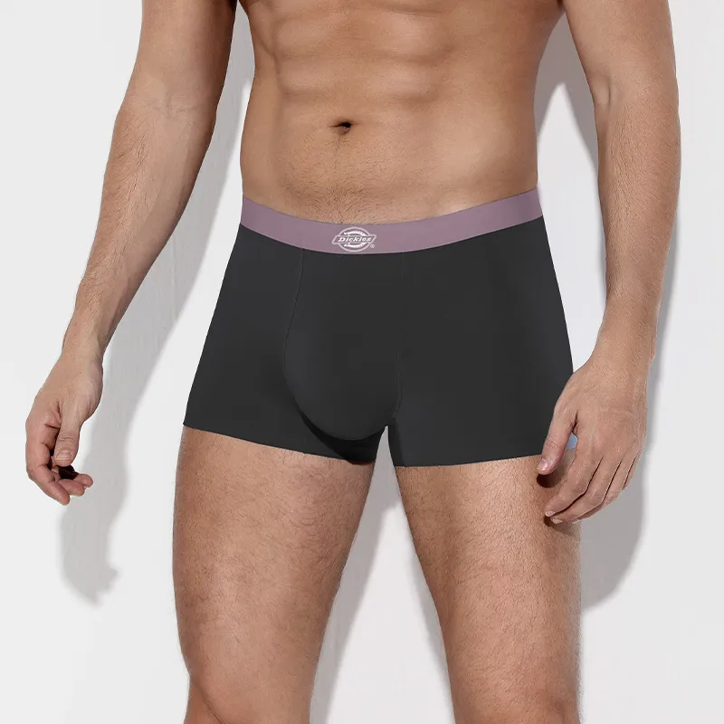 Dickies Underpants Men's Box 3 Pack-3