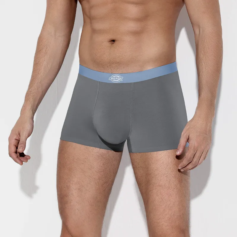 Dickies Underpants Men's Box 3 Pack-12