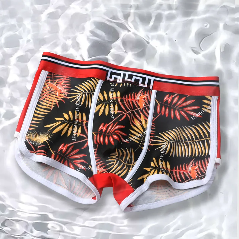 Cotton Gene Underpants Men's 2 Pack-9