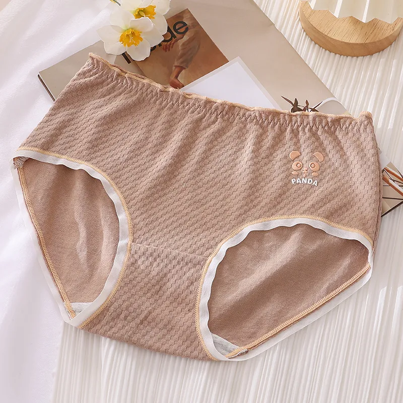 Cotton Gene Underpants Women's 6 Pack-9