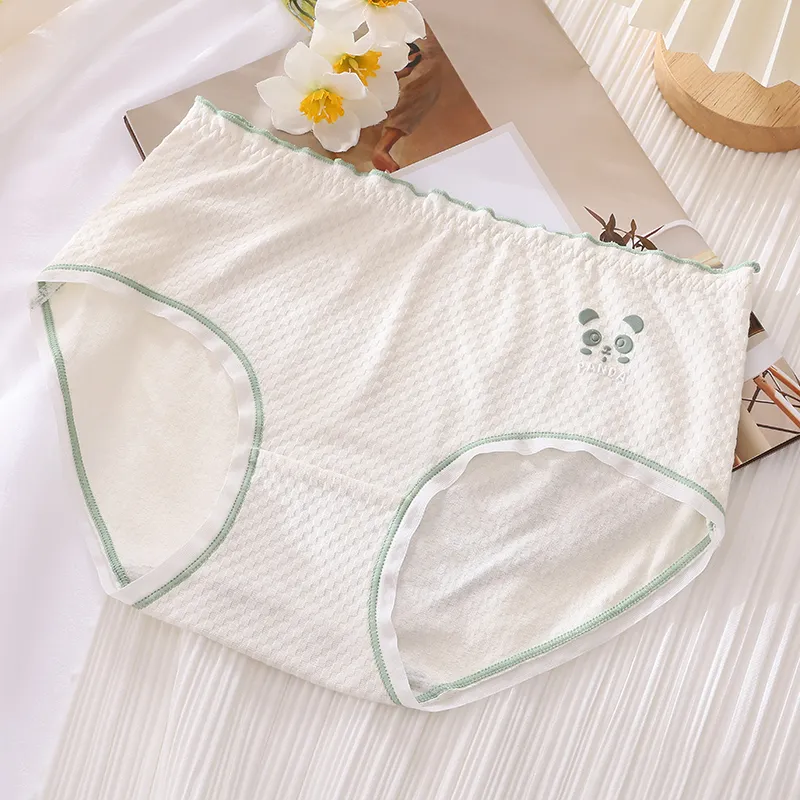 Cotton Gene Underpants Women's 6 Pack-8