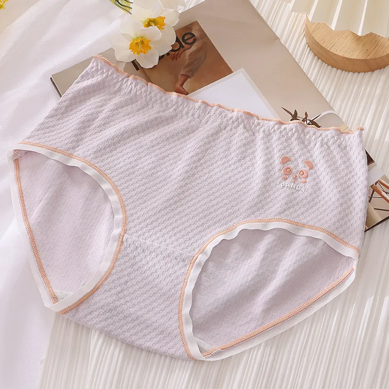 Cotton Gene Underpants Women's 6 Pack-10