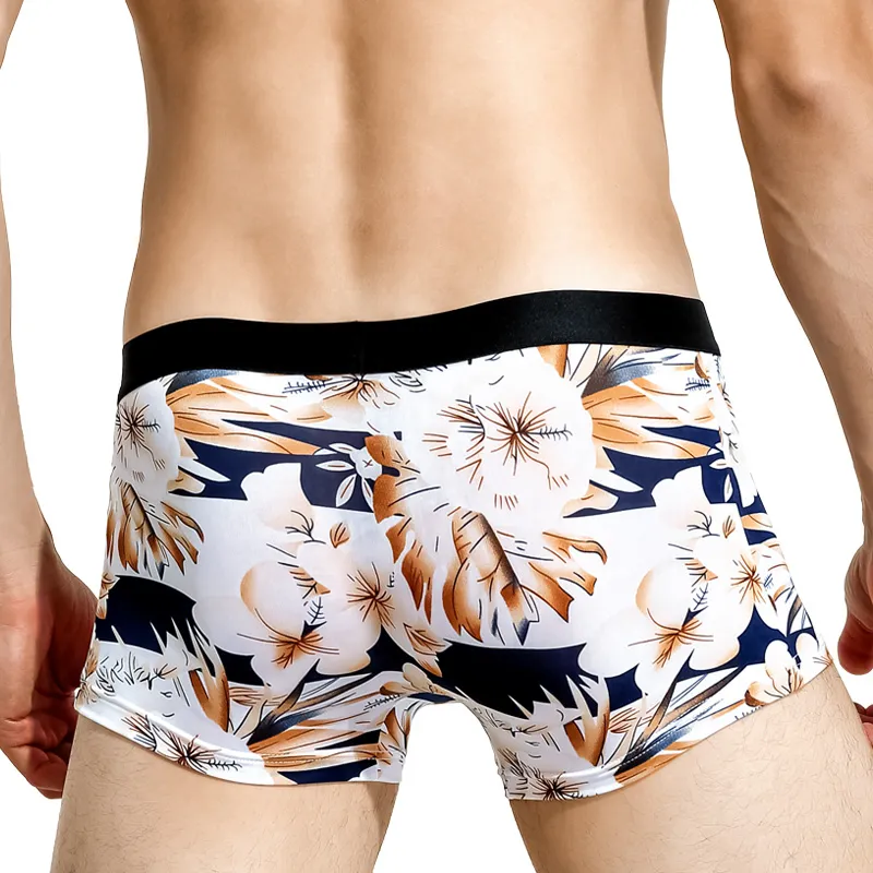 Cotton Gene Underpants Men's 2 Pack-5