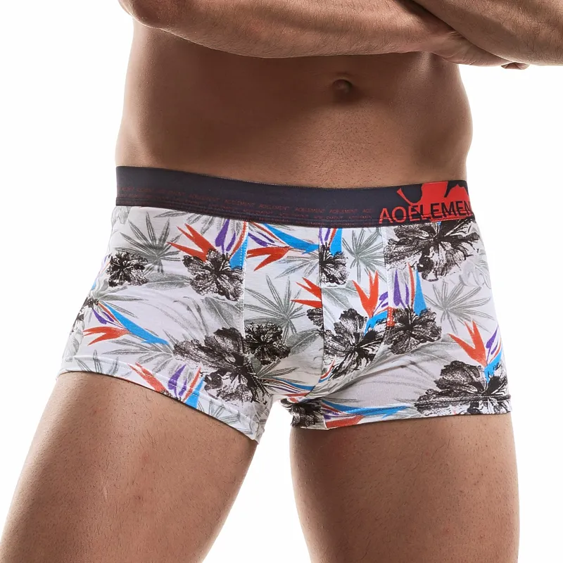 Cotton Gene Underpants Men's 2 Pack-2