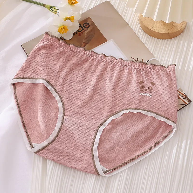 Cotton Gene Underpants Women's 6 Pack-12