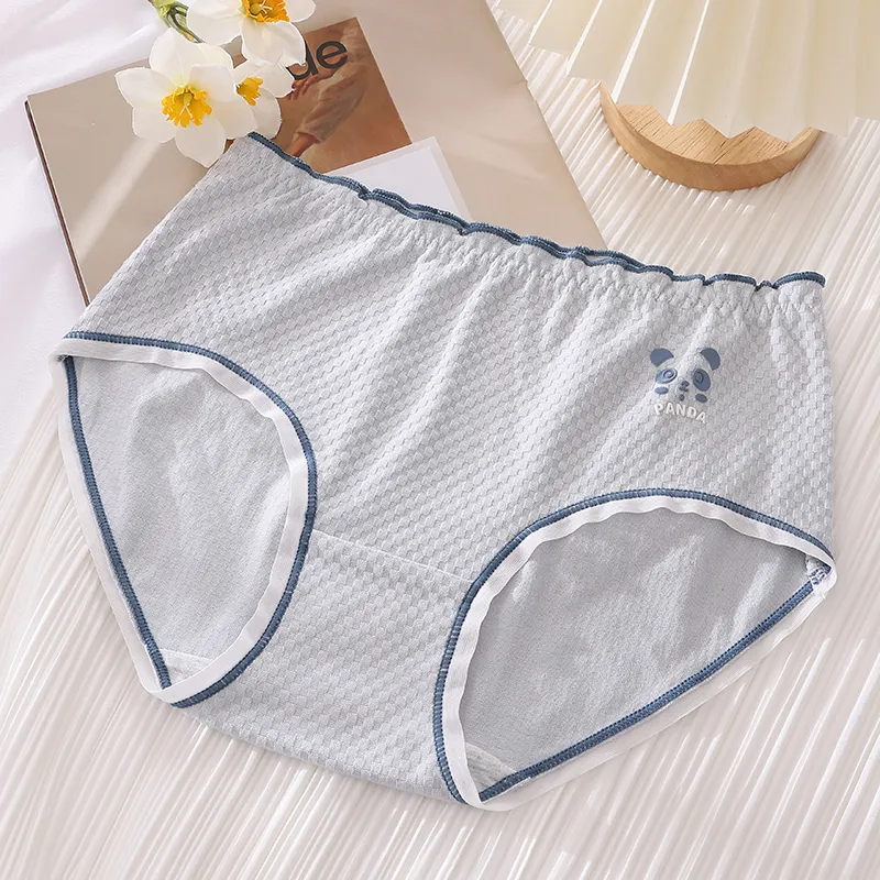 Cotton Gene Underpants Women's 6 Pack-7