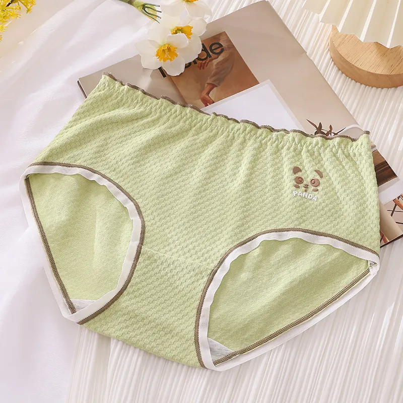 Cotton Gene Underpants Women's 6 Pack-11