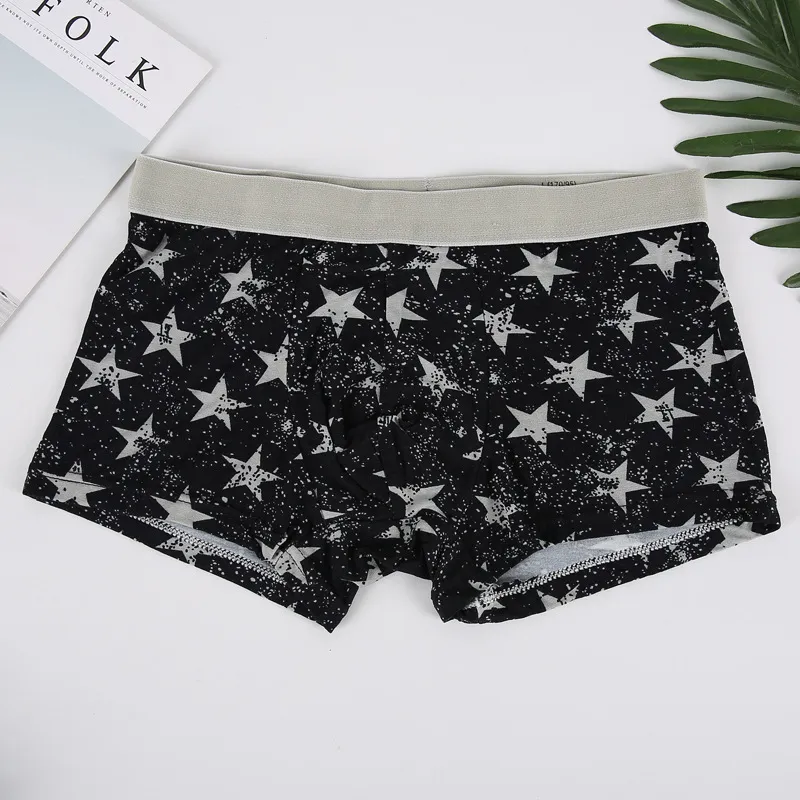 Cotton Gene Underpants Men's 2 Pack-2