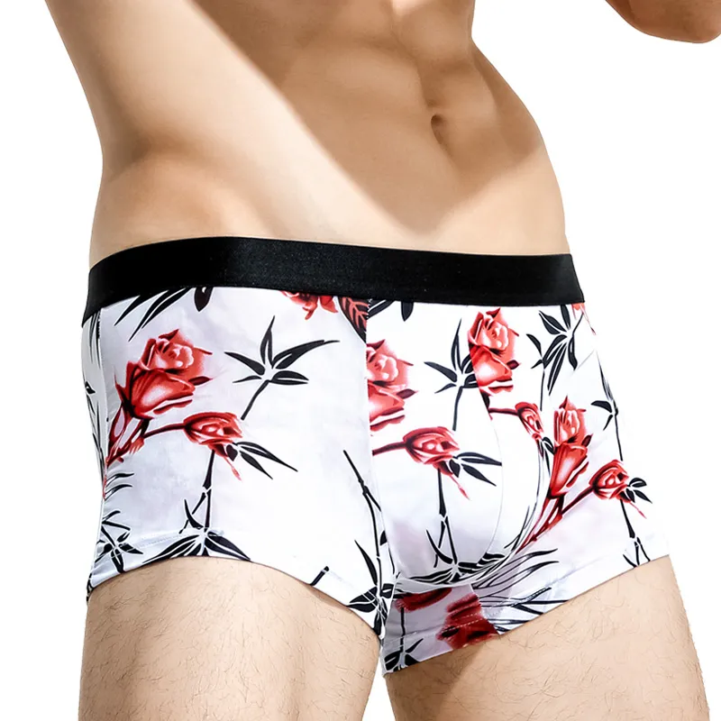 Cotton Gene Underpants Men's 2 Pack-2