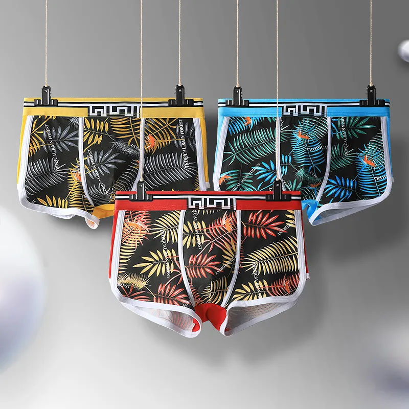 Cotton Gene Underpants Men's 2 Pack-14