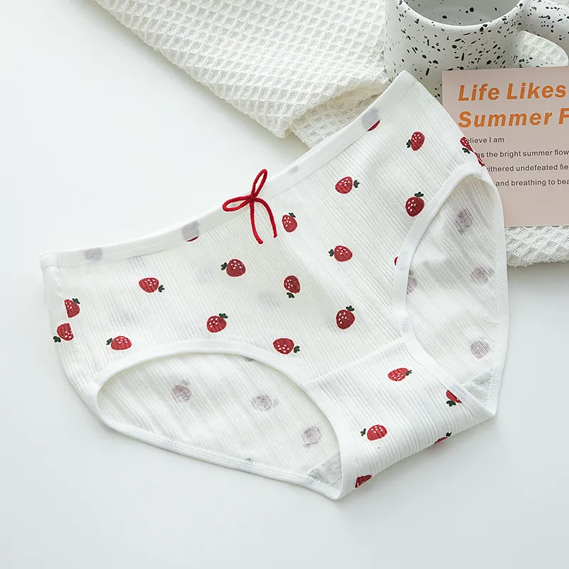 Gentle Welcome Underpants Women's 3 Pack-13