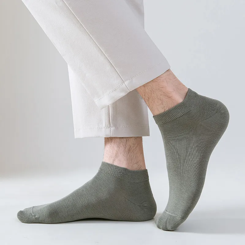 Montagut Ankle Socks Men's Box 6 Pack-3