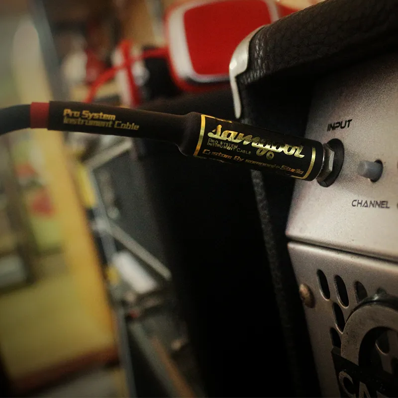 SAMGOOL+ SC BX Collection Split Type Speaker, Cabinet And Head Unit Connecting Thread Guitar Accessories-3