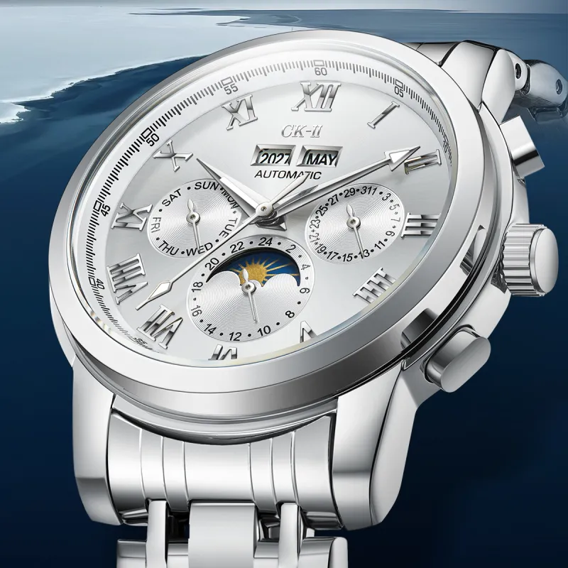 FAIRWHALE CK II Collaboration Automatic Mechanical Movement Metal Strap Watch Men's Watches Black Dial-21