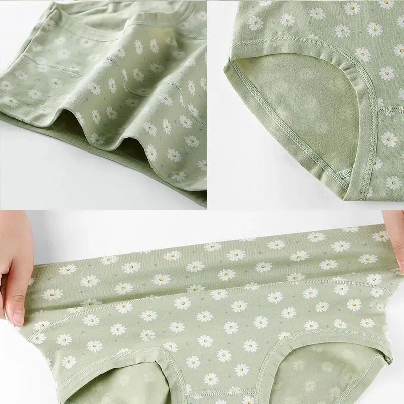 GOSO Women's Underpants-7