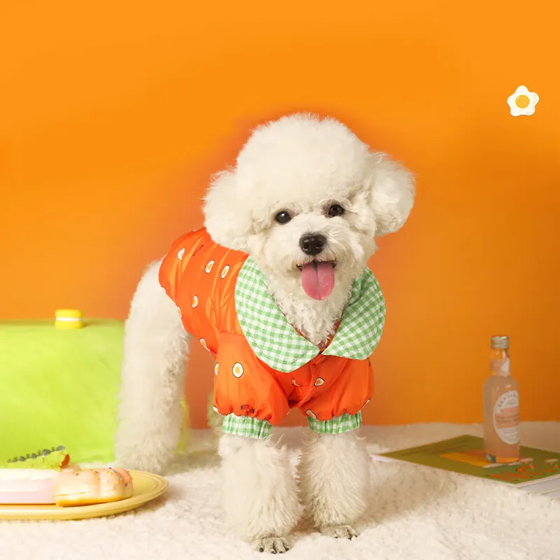 BRU NA BOINNE Pet Clothing-1