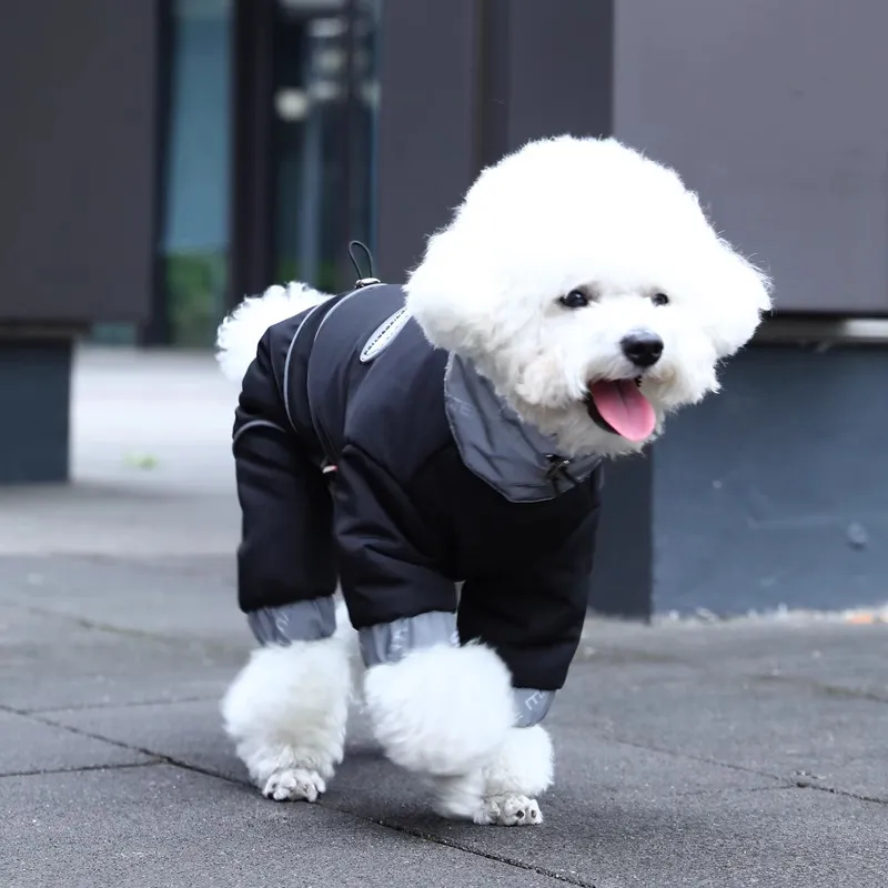 BRU NA BOINNE Pet Clothing-3