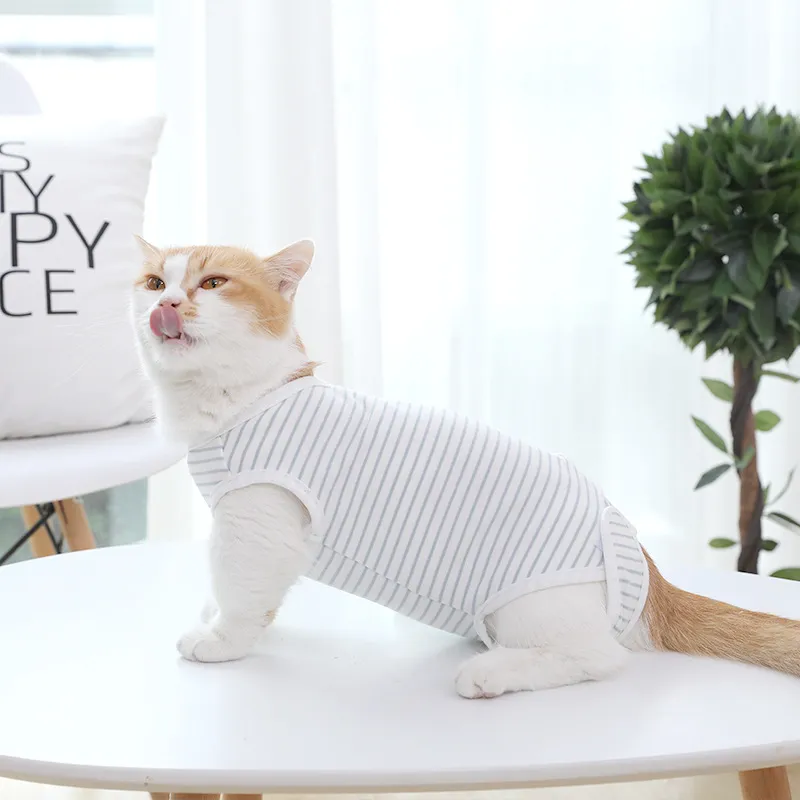BRU NA BOINNE Pet Clothing-2