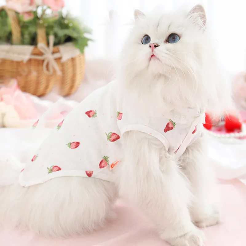 BRU NA BOINNE Pet Clothing-1