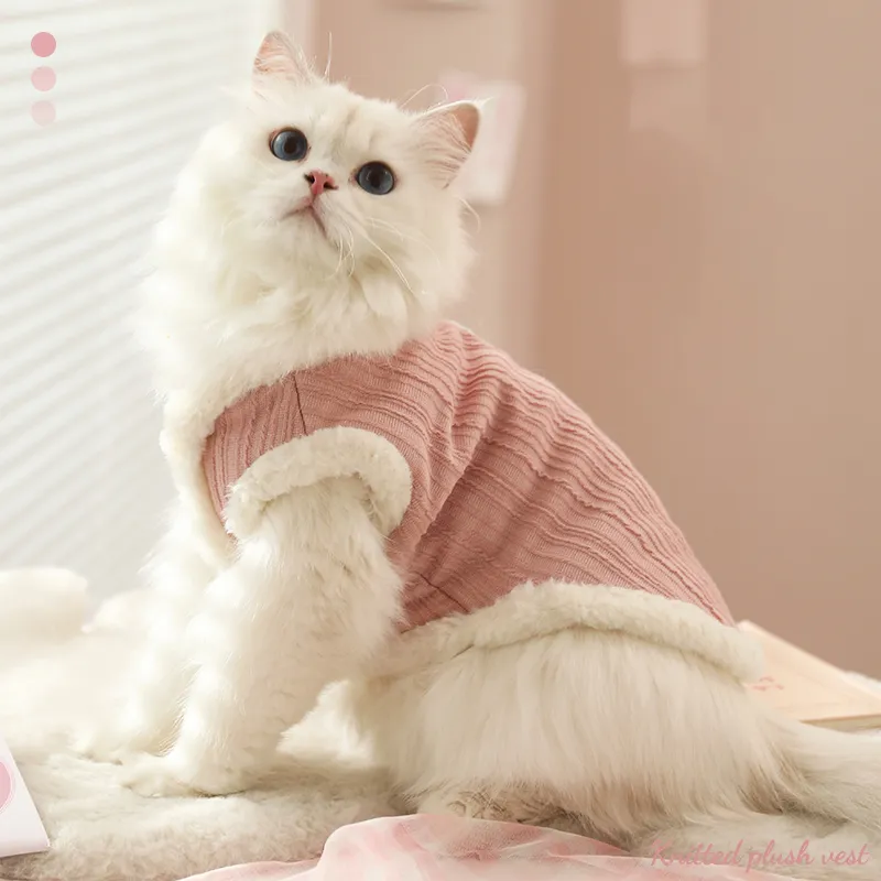 BRU NA BOINNE Pet Clothing-3