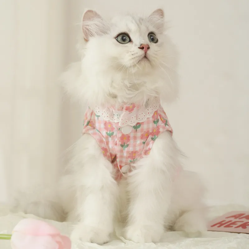 BRU NA BOINNE Pet Clothing-3