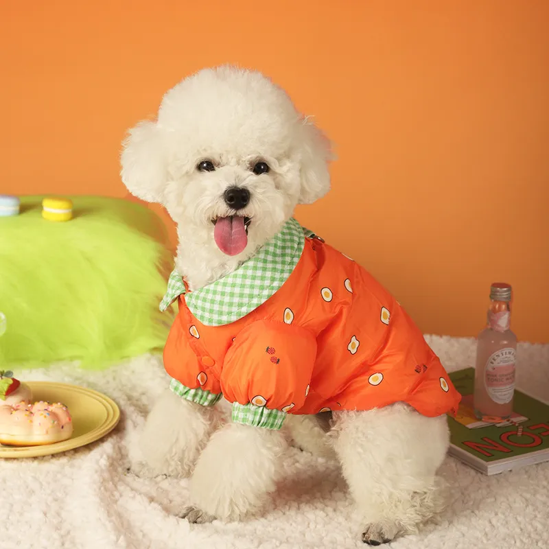 BRU NA BOINNE Pet Clothing-4