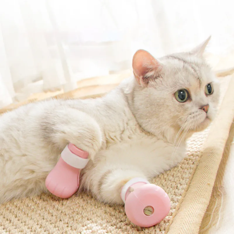 BRU NA BOINNE Pet Clothing-3