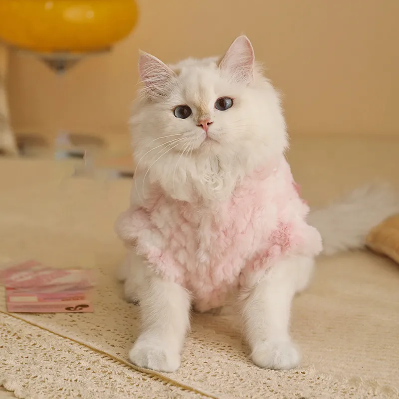 BRU NA BOINNE Pet Clothing-3