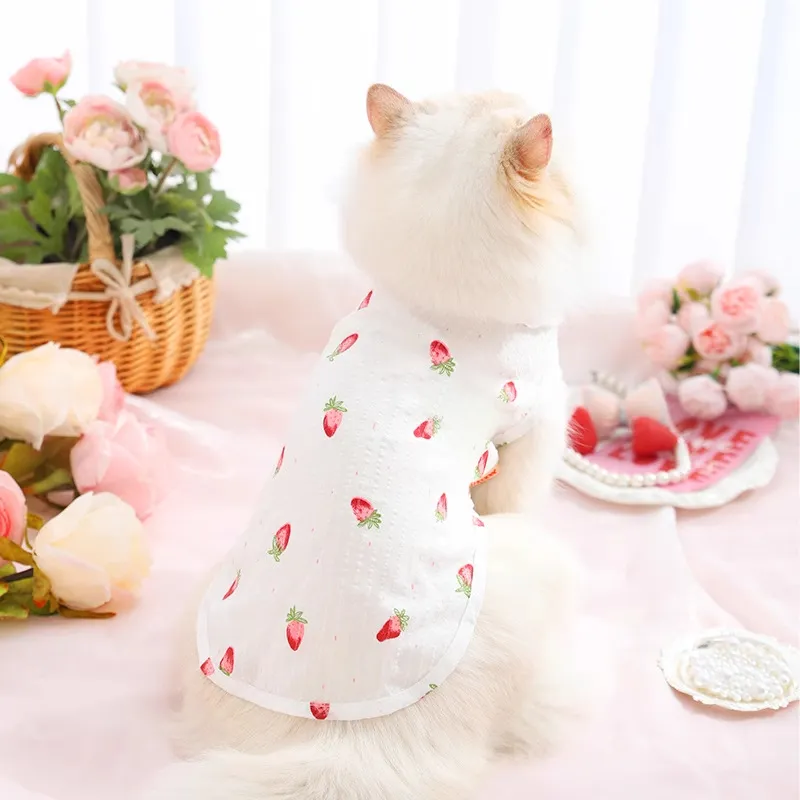 BRU NA BOINNE Pet Clothing-3