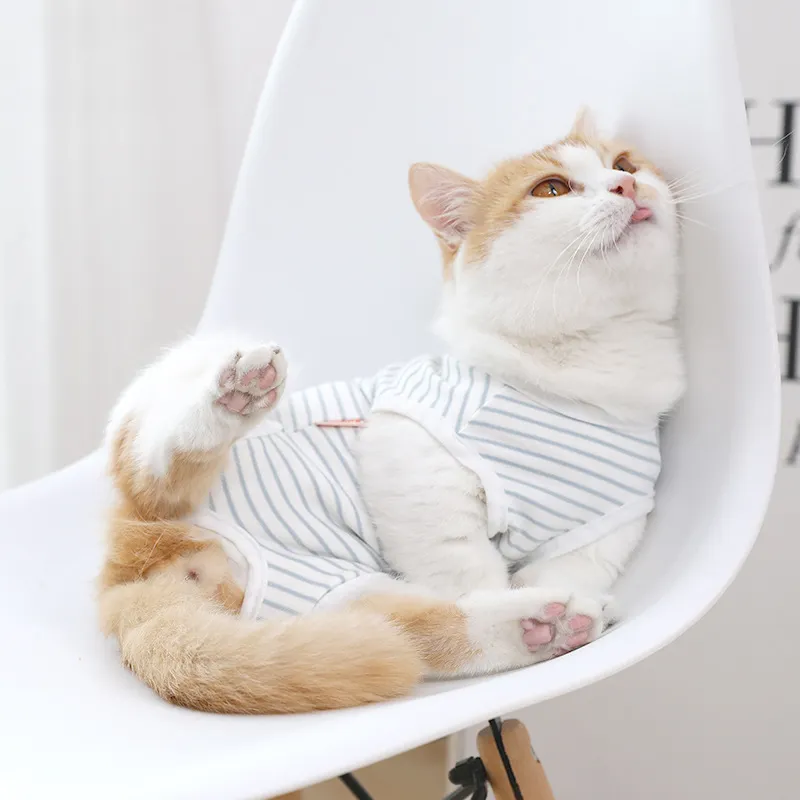 BRU NA BOINNE Pet Clothing-1