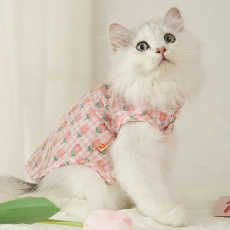 BRU NA BOINNE Pet Clothing-2