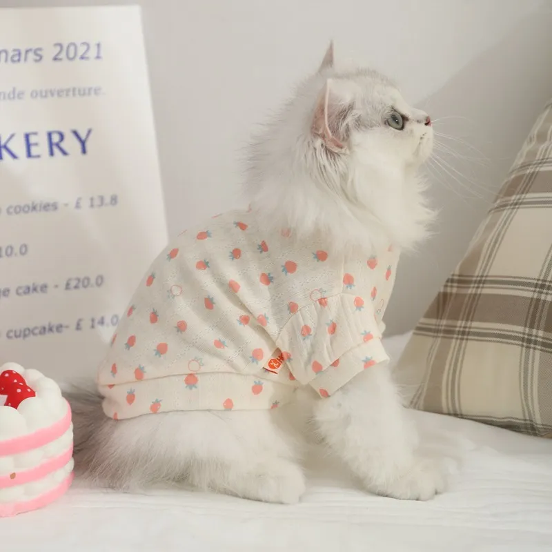 BRU NA BOINNE Pet Clothing-2