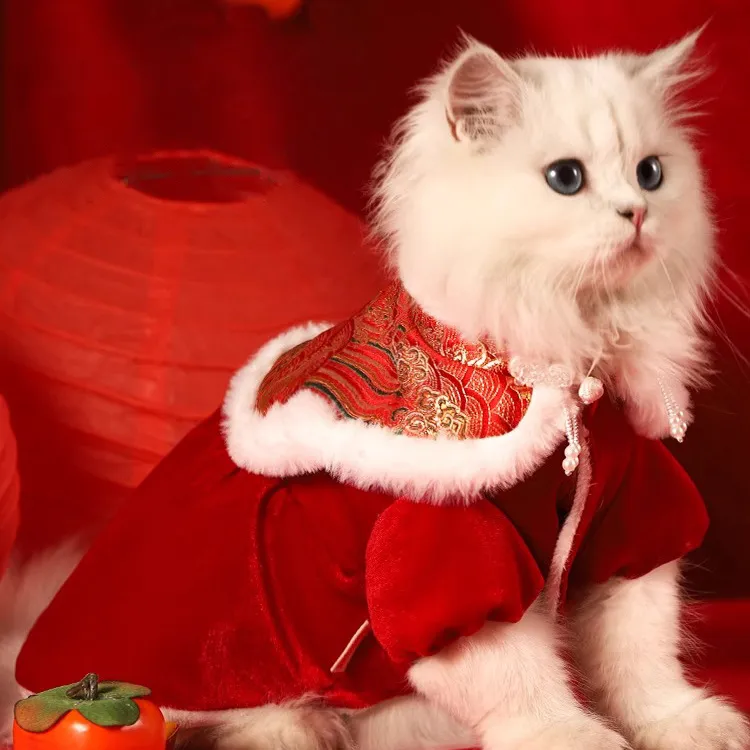 BRU NA BOINNE Pet Clothing-1