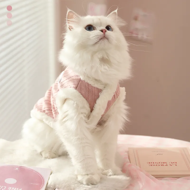 BRU NA BOINNE Pet Clothing-2