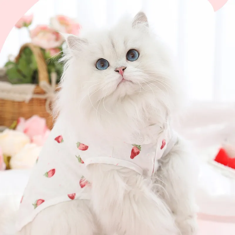 BRU NA BOINNE Pet Clothing-2
