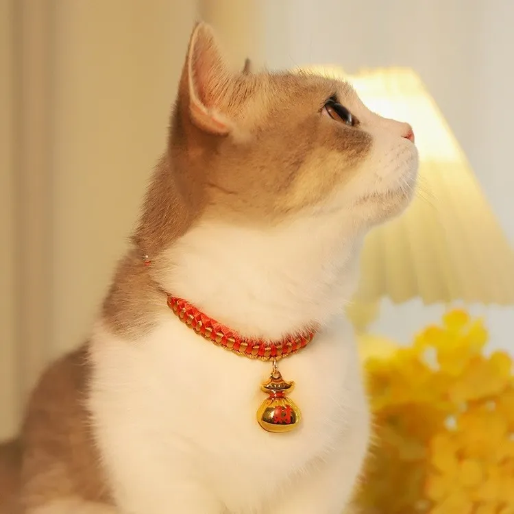 REnextop Dog / Cat Collars-1