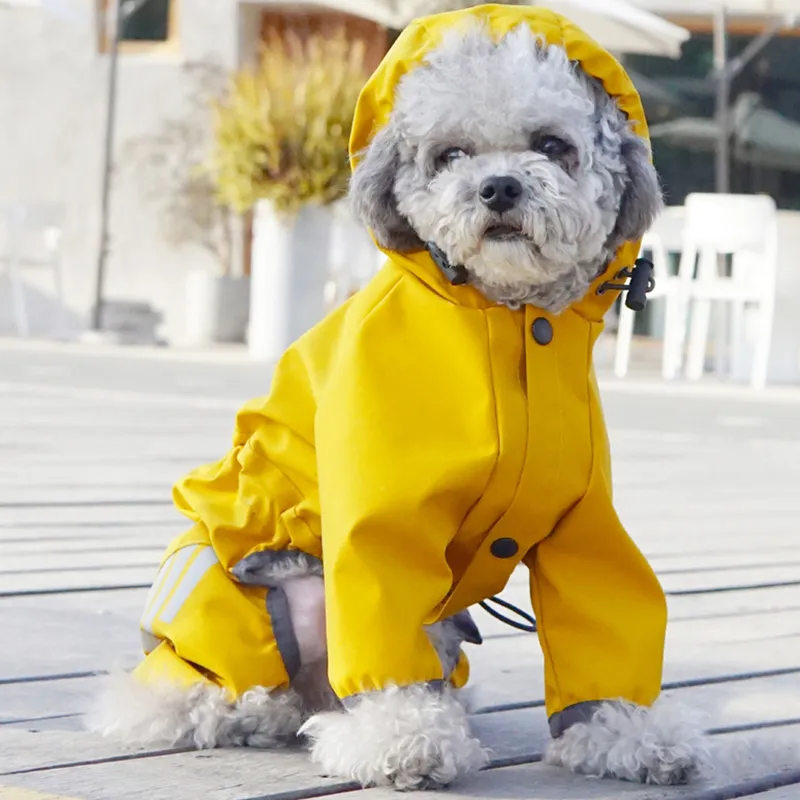 REnextop Pet Clothing-5