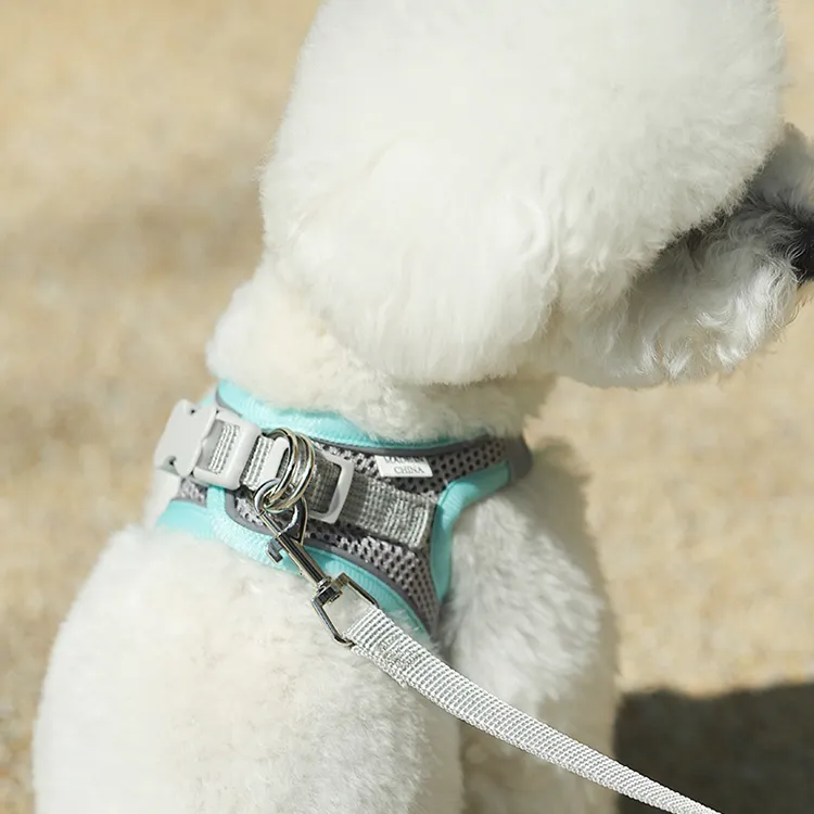REnextop Leashes-4