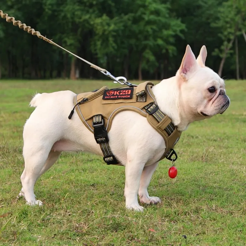 REnextop Leashes-3