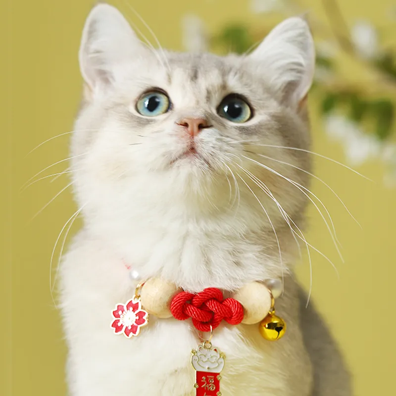 REnextop Dog / Cat Collars-1