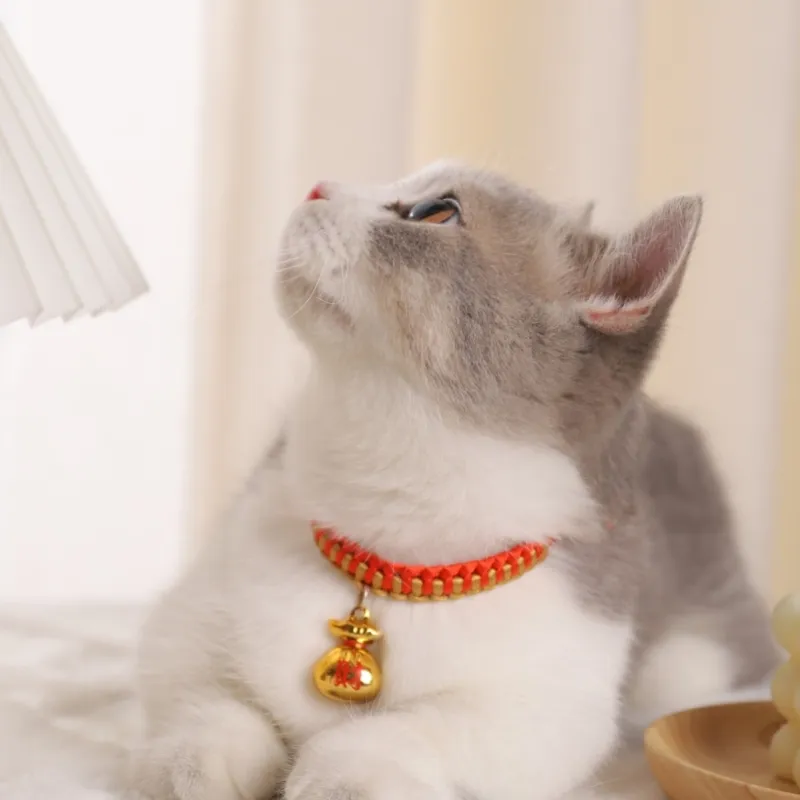REnextop Dog / Cat Collars-2
