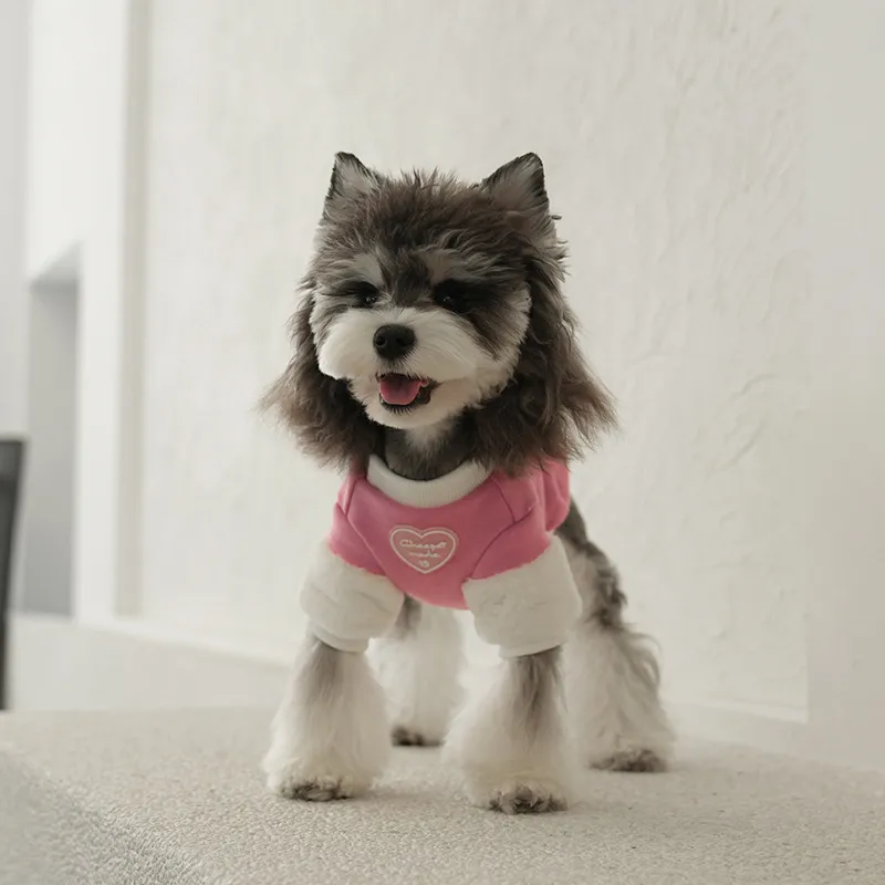 LVXUN Pet Clothing-2