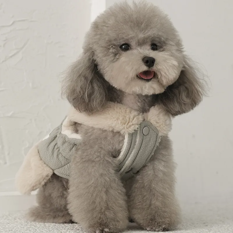 LVXUN Pet Clothing-3
