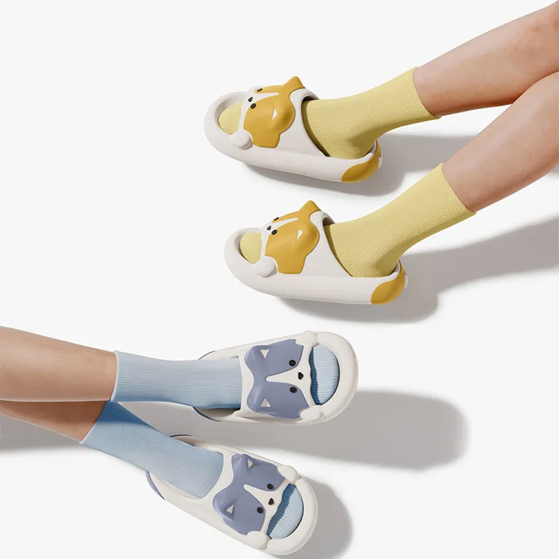 TLIT Slippers / Home Slippers-3