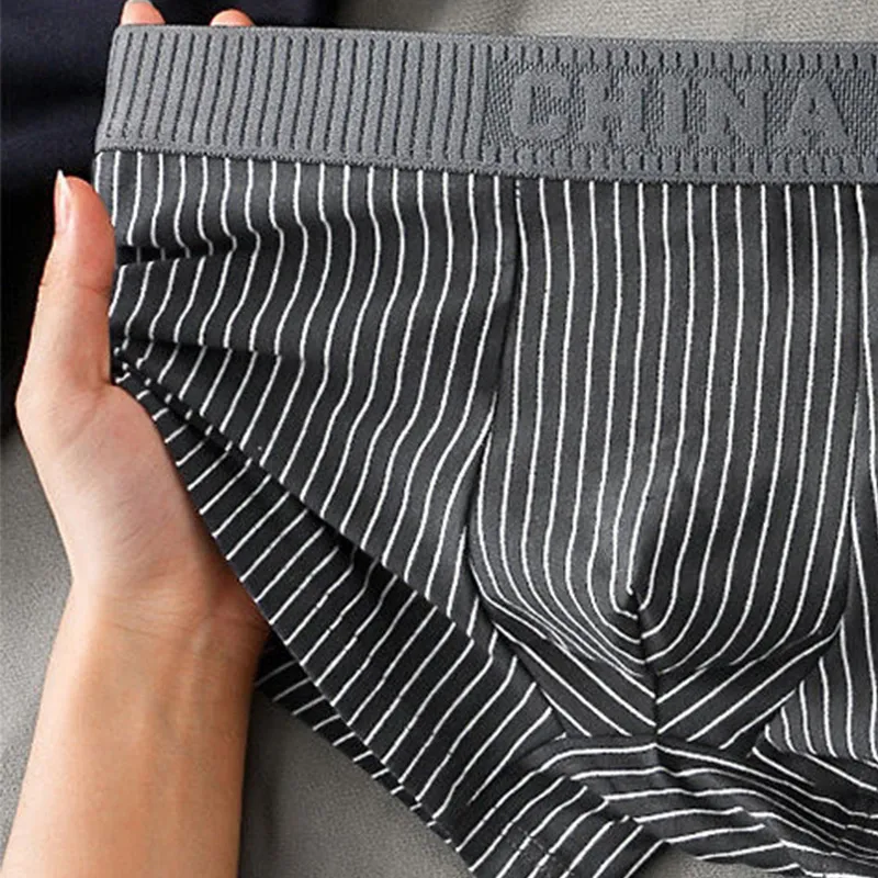 The Temptation Of The Muse Underpants Men's 4 Pack-3