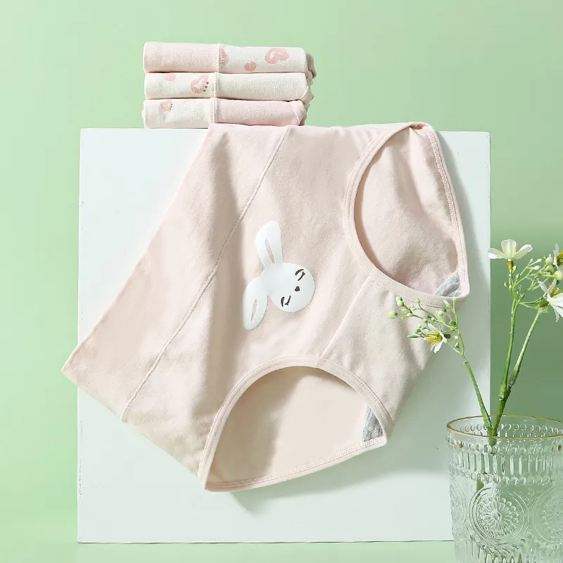 Dior Beauty Underpants Women's 4 Pack-2