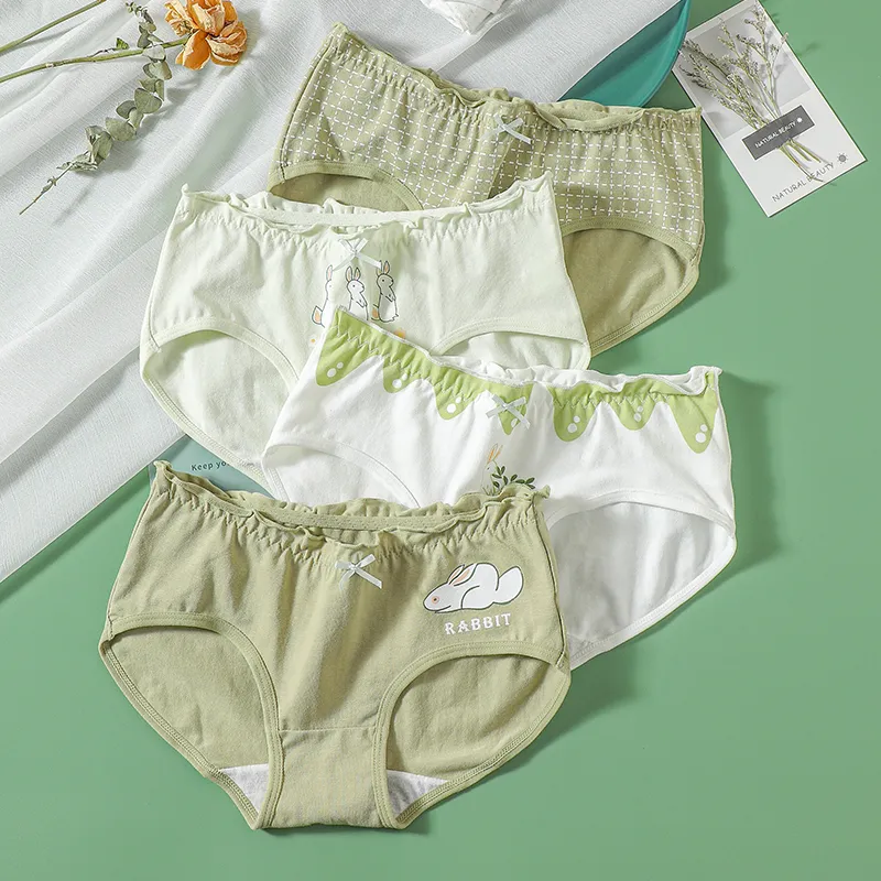 Dior Beauty Underpants Women's 5 Pack-3